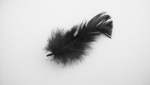 https://www.simonemassafra.com/files/gimgs/th-16_20_14-black.jpg