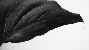 https://www.simonemassafra.com/files/gimgs/th-16_20_61-black.jpg