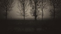 https://www.simonemassafra.com/files/gimgs/th-19_11056597_10153738000864593_5377407196136088440_o.jpg