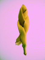 https://www.simonemassafra.com/files/gimgs/th-20_15_WP_20161202_004.gif
