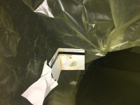 https://www.simonemassafra.com/files/gimgs/th-45_IMG_6557.jpg