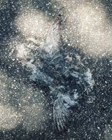 https://www.simonemassafra.com/files/gimgs/th-47_IMG_6885.jpg