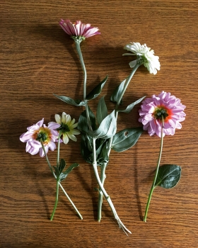 https://www.simonemassafra.com/files/gimgs/th-50_IMG_4842.jpg