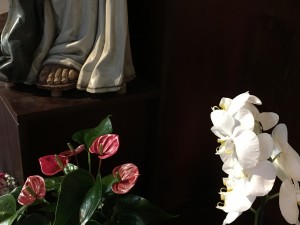https://www.simonemassafra.com/files/gimgs/th-52_IMG_7370.jpg