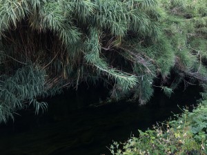https://www.simonemassafra.com/files/gimgs/th-52_IMG_7395.jpg