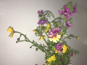 https://www.simonemassafra.com/files/gimgs/th-78_IMG_4790.jpg