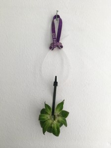 https://www.simonemassafra.com/files/gimgs/th-82_15_IMG_1993.jpg