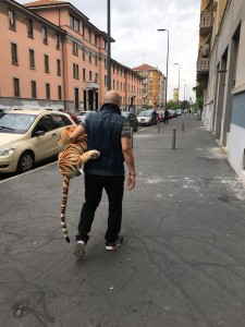 https://www.simonemassafra.com/files/gimgs/th-82_IMG_4135.jpg