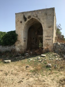 https://www.simonemassafra.com/files/gimgs/th-82_IMG_6455.jpg